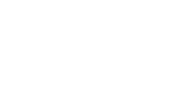 Travion